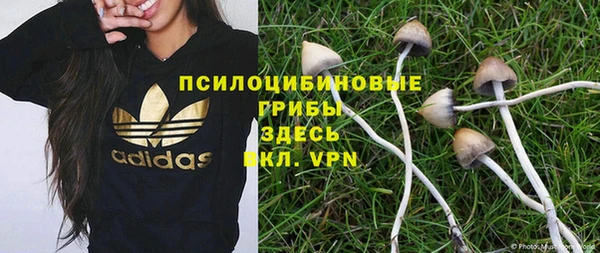 трава Краснослободск