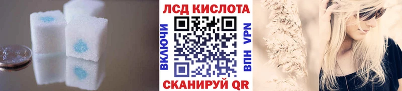 Купить закладки  Сосновка  Лсд 25 экстази кислота 