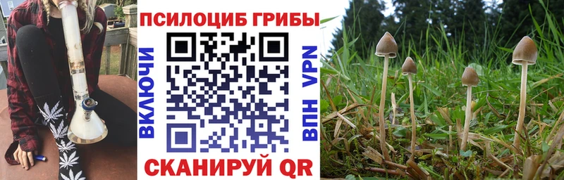 Псилоцибиновые грибы GOLDEN TEACHER  Купить закладки  Сосновка 